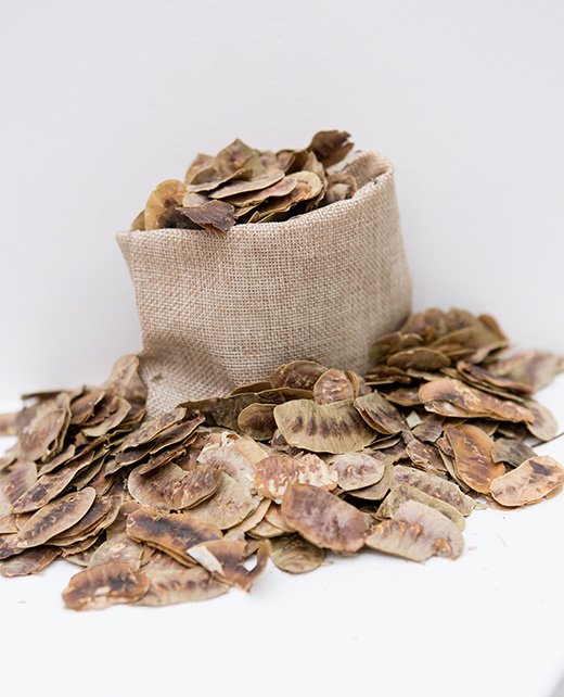 Senna Pods