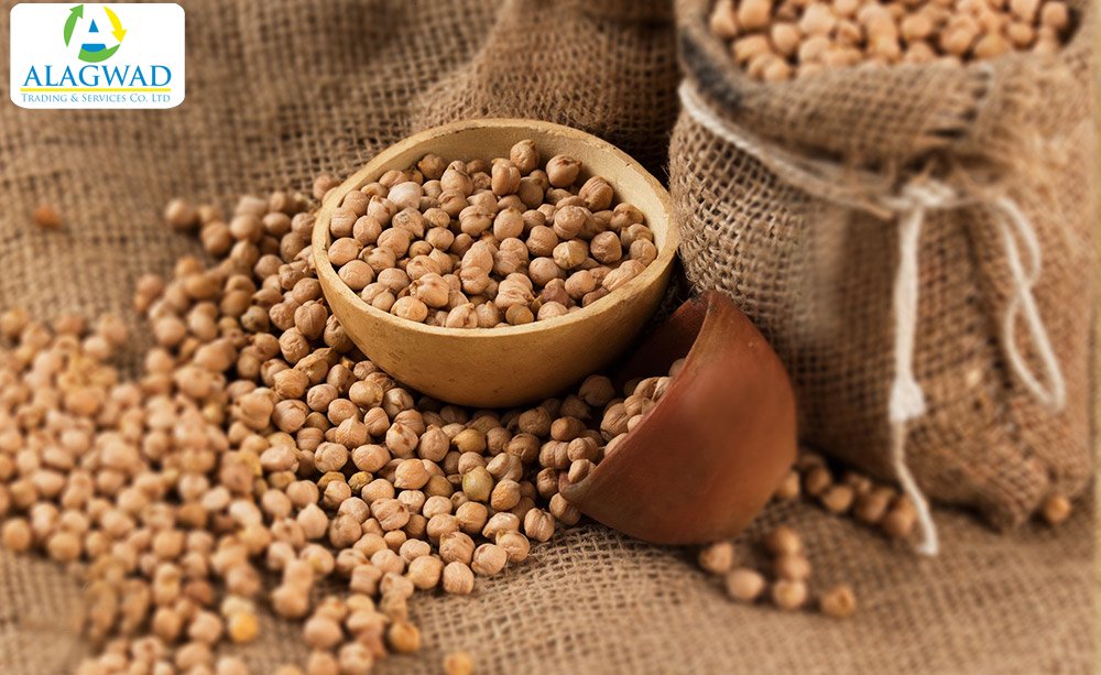 Chickpea